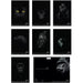 Pigna Monocromo Black - Quaderno Maxi Formato A4 - Rigatura 1R - Righe - Medie e superiori - Pacco da 10 Pezzi assortiti - B-Better Shop
